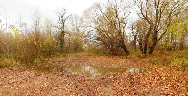 Красота сельских дорог