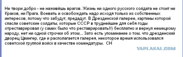 Защитник памятника Коневу в Праге приковал к нему себя цепью