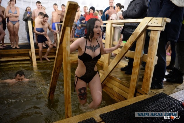 Нет мозгов у бабы