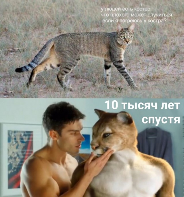 Чернушка