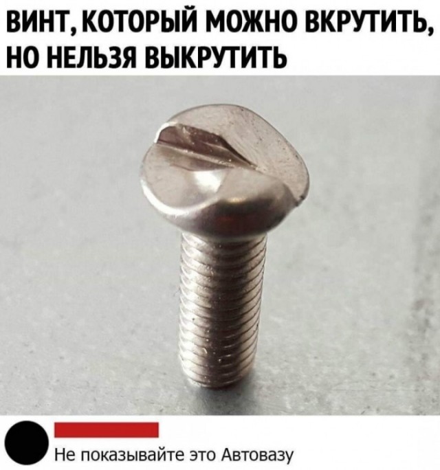 Фотки и картинки: юморные и красивые, забавные и милые 19.10.20