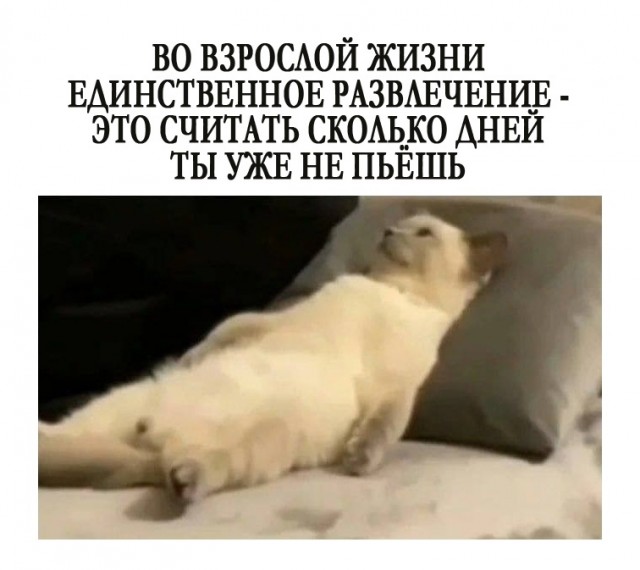 Баянисто-небаянистый юмор 24.04.21