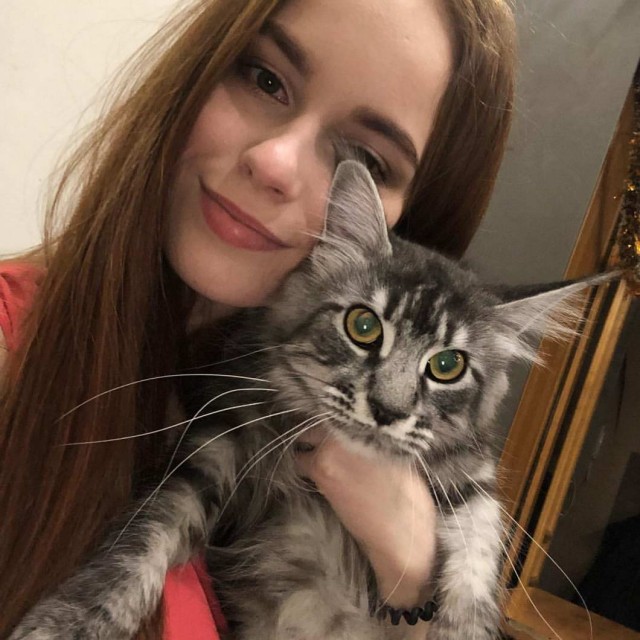Девушки котовторника