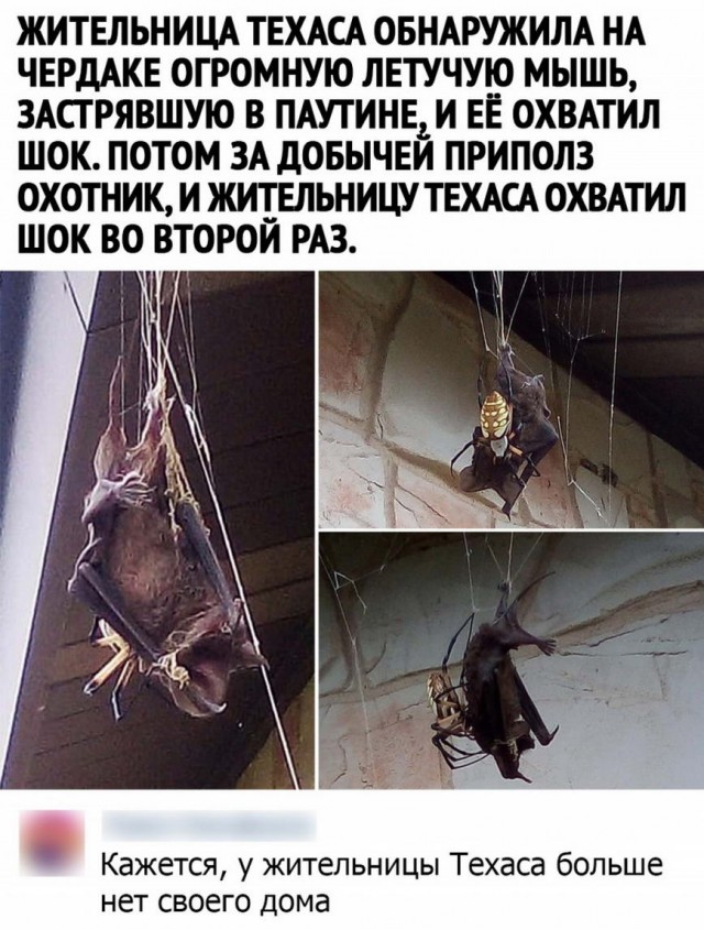 Картинки и мемы для настроения
