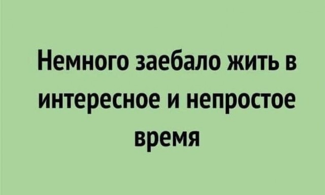 Москвич пытался проникнуть в пивную по куаркоду, выданному на то, чтобы почесать спину