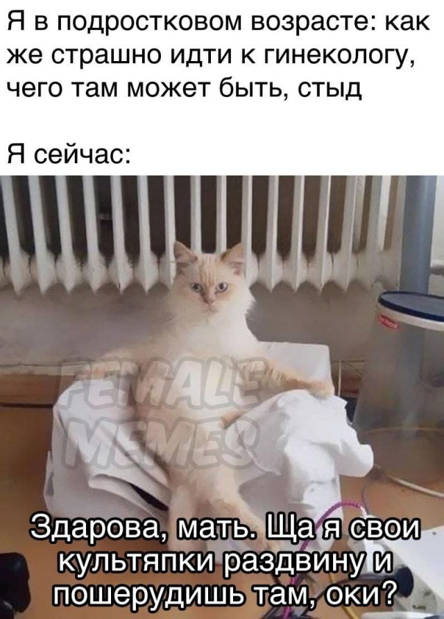 Мемасы (Пошлятина в основном)