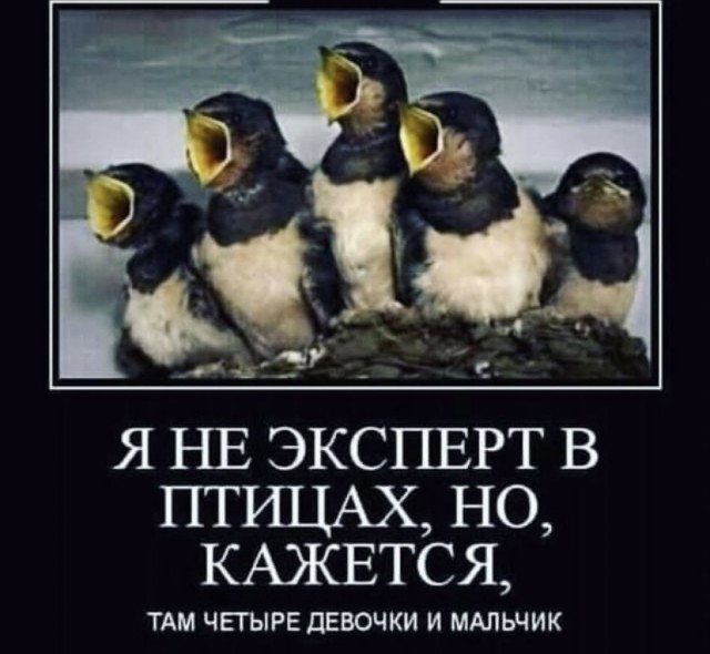 Так себе картинки 20.08.21