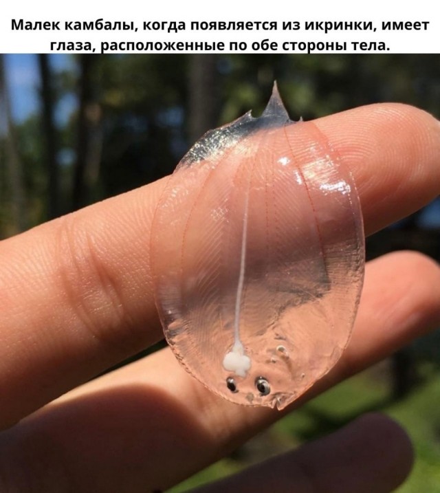 Так себе картинки 27.04.22