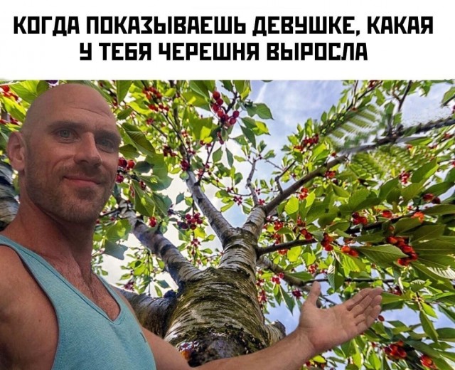 Картинки и мемы для настроения - 19