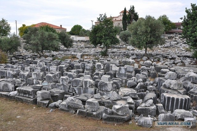 Любовь с первого взгляда