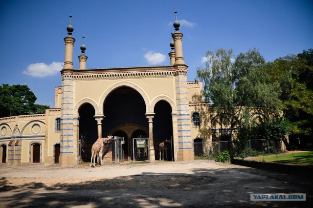 Мой Евротур