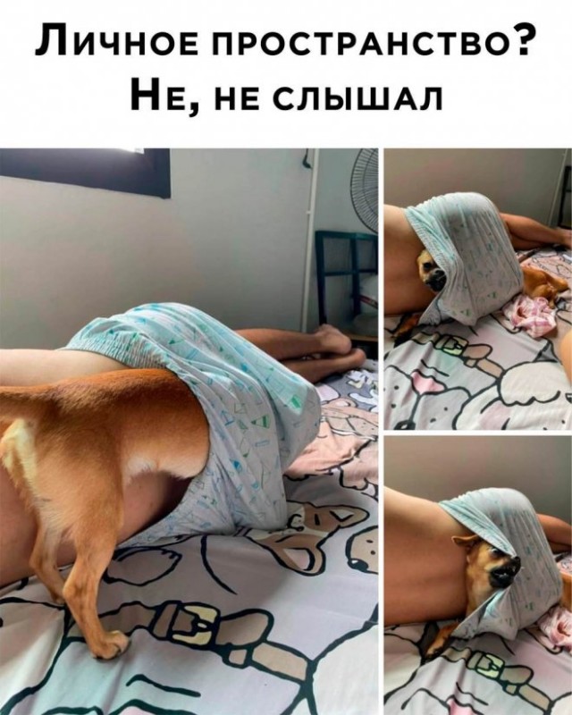 Так себе картинки 19.09.22