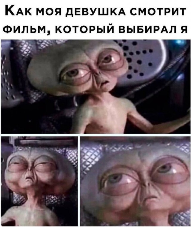 Перлы - 15.01.2023