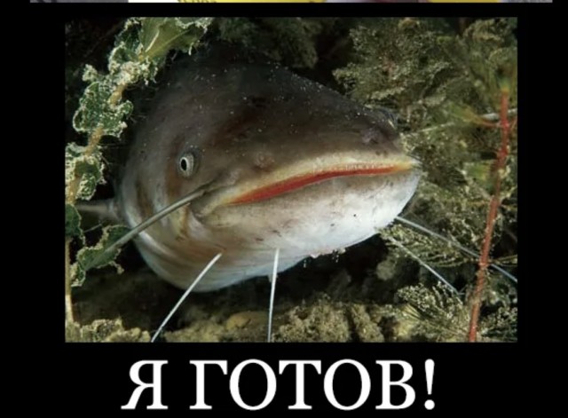 Ушел от жены. Измены. Взгляд любящего мужчины