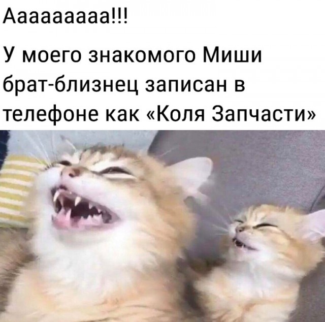Так себе картинки 15.04.23