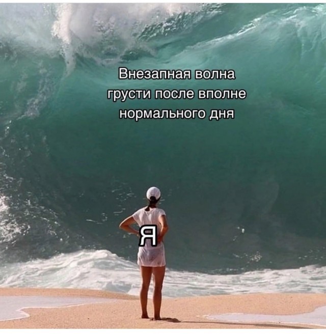 Весёлый полтишок 21.08.23