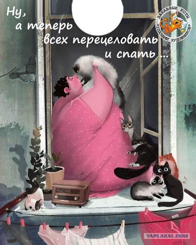 Получаются ли из проституток хорошие жены?