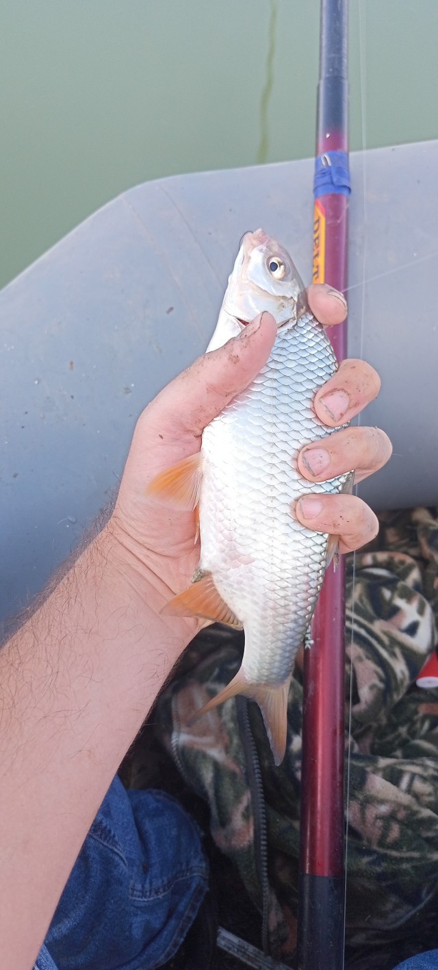 Рыбалка на Азовском море