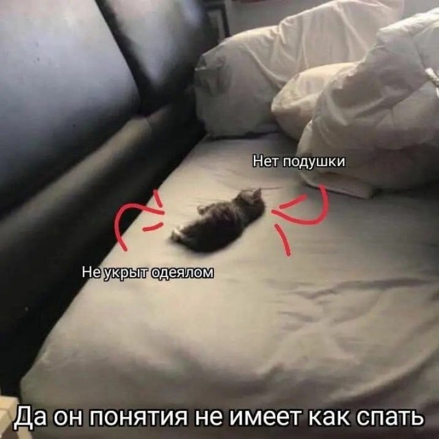 Так себе картинки 30.09.2023
