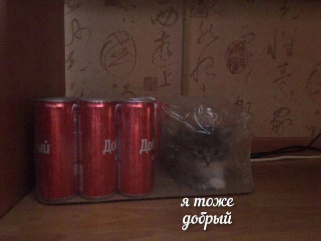 Всего понемногу. От 03.11.23