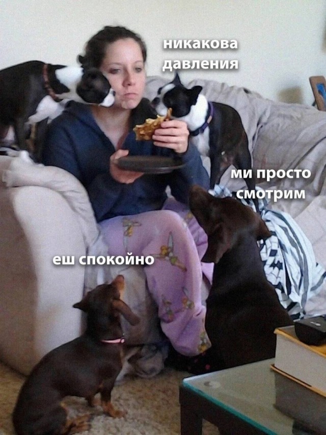 Весёлый полтишок 27.05.24