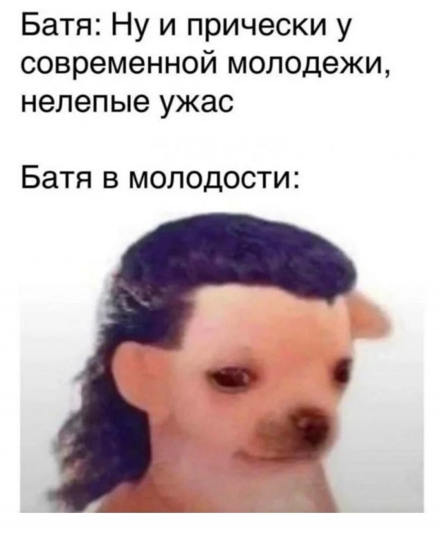 Веселые картинки к маленькой пятнице (23.10)