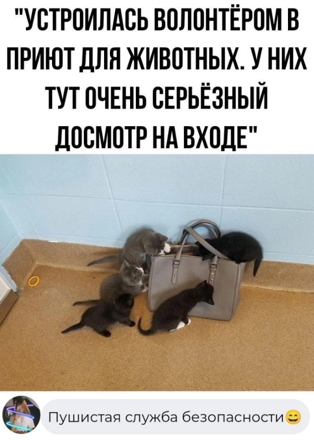 Так себе картинки 26.11.24