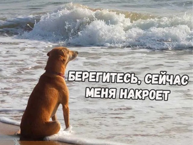 Картинки разные с надписями и без