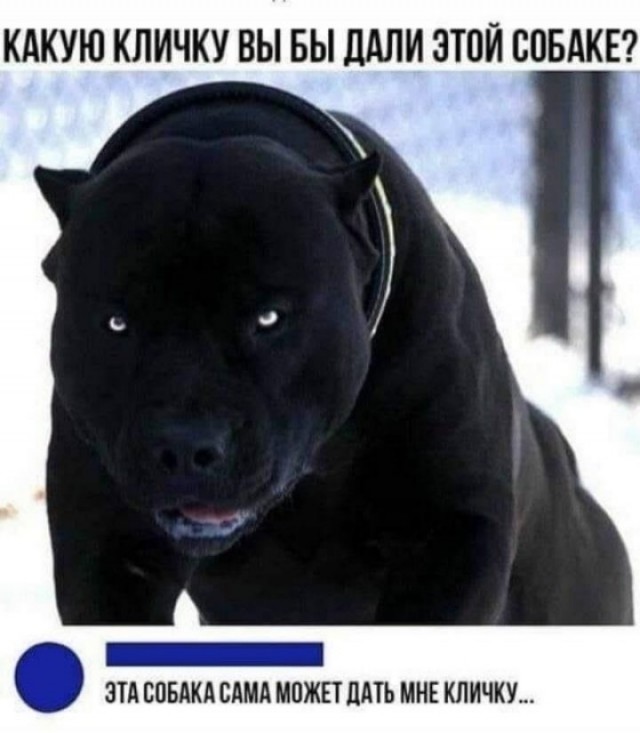 Как назвать?