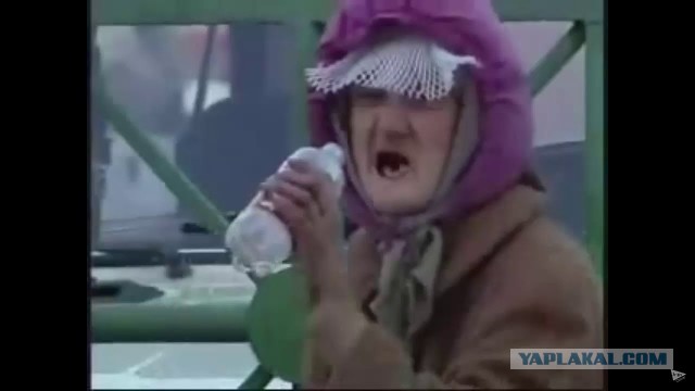 Пенсионерки набросились на отловщиков, чтобы отбить дворнягу в Красноярске