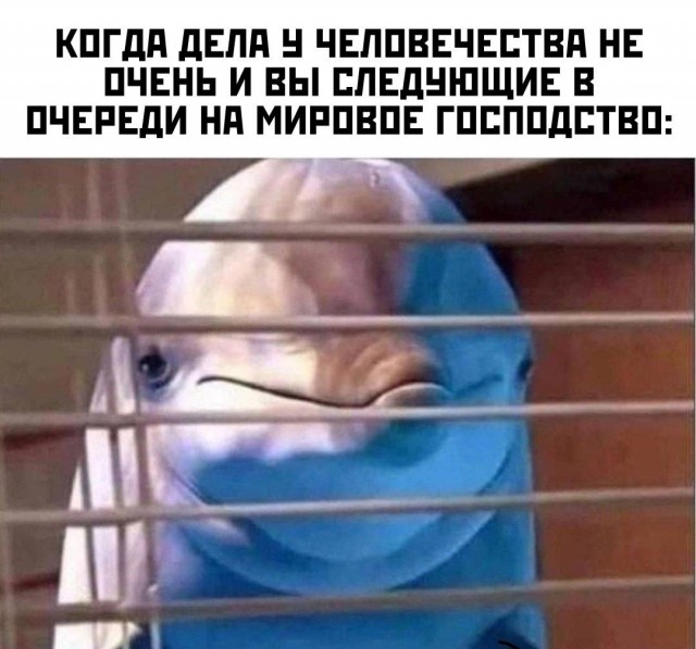 Так себе картинки 06.05.25