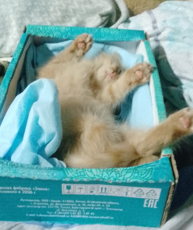 Просто так. Для улыбки.