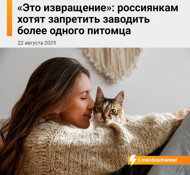 Россиянки с двумя-тремя кошками — это извращенки, заявили в Общественной палате России