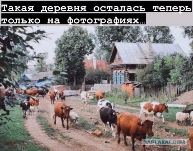 Пока отдыхаете, можно и поностальгировать!