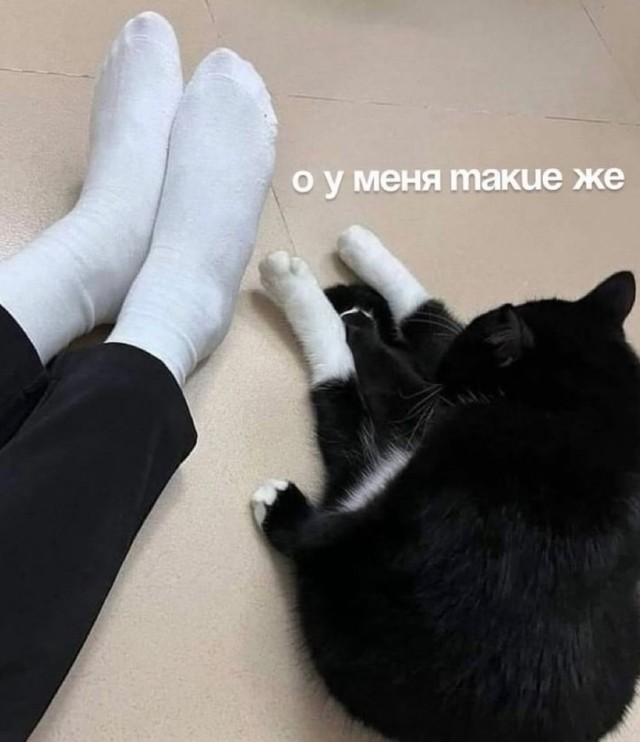 Так себе картинки 04.12.25