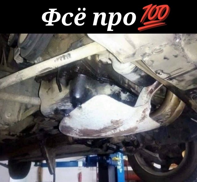 Так себе картинки 24.12.25