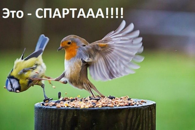 Голландский полицейский,задерживает нарушителя