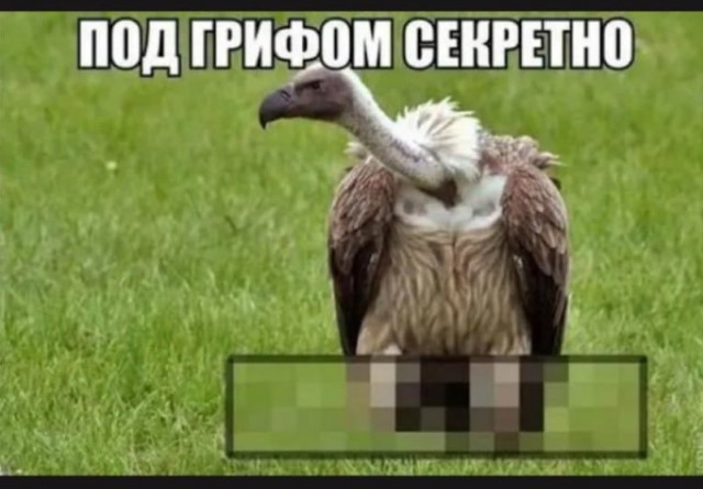 Картиночки, баянчики 10 февраля