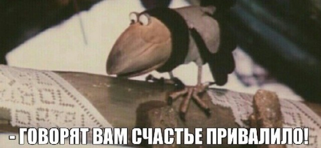 Что непонятного?! Корми давай!!!