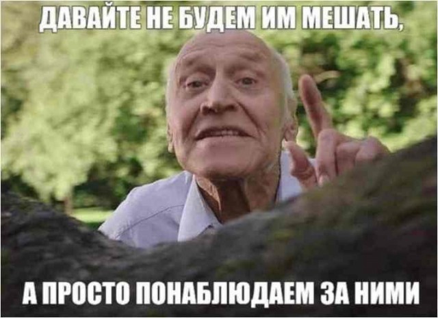 В Туле двое мужчин и женщина устроили драку на «Искре»