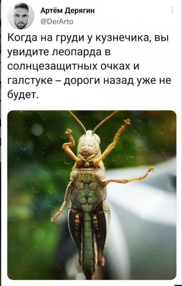 Маленькая пятница