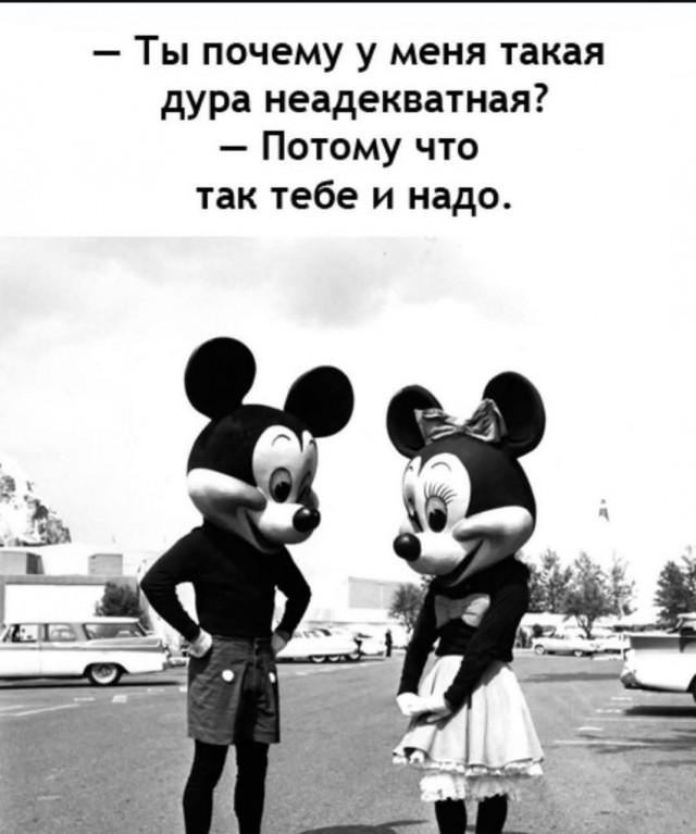 Картинки для деградации 204 (разной степени свежести)