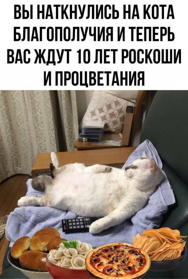Веселые картинки в маленькую пятницу (10.06)