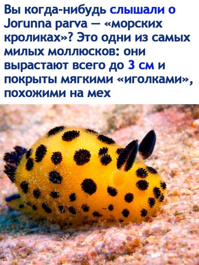 Так себе картинки 11.07.26