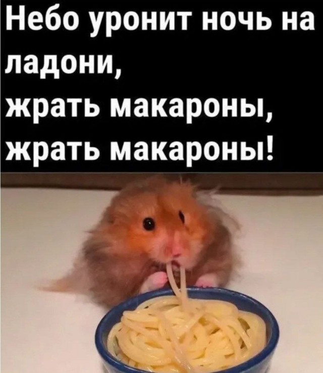 Картинки для деградации 240 (разной степени свежести)