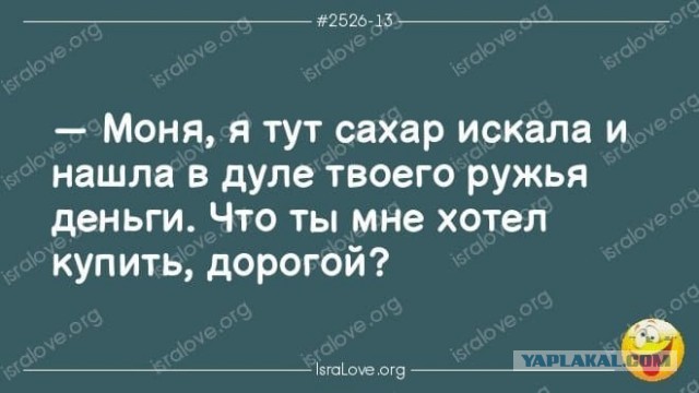 Прикольные и просто красивые картинки 01.09.2026