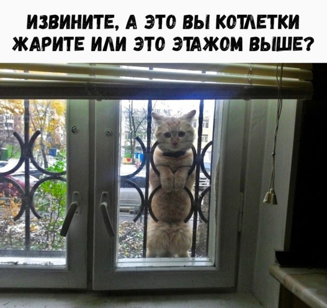 Так себе картинки 01.09.26
