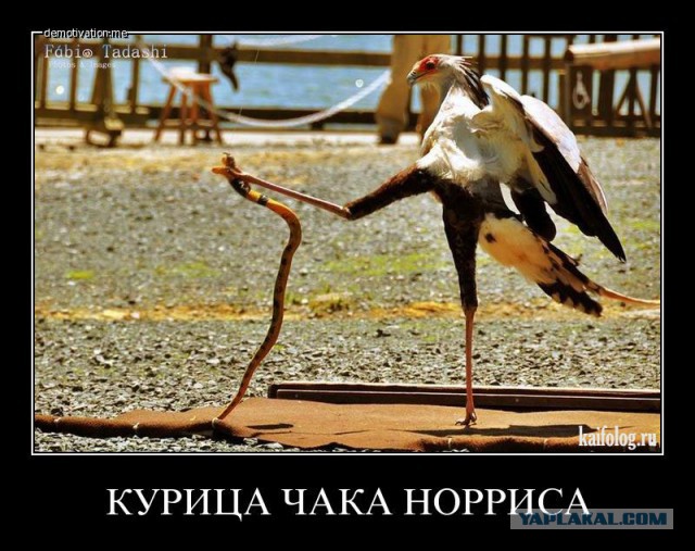 Подборка позитивных картинок на выходные