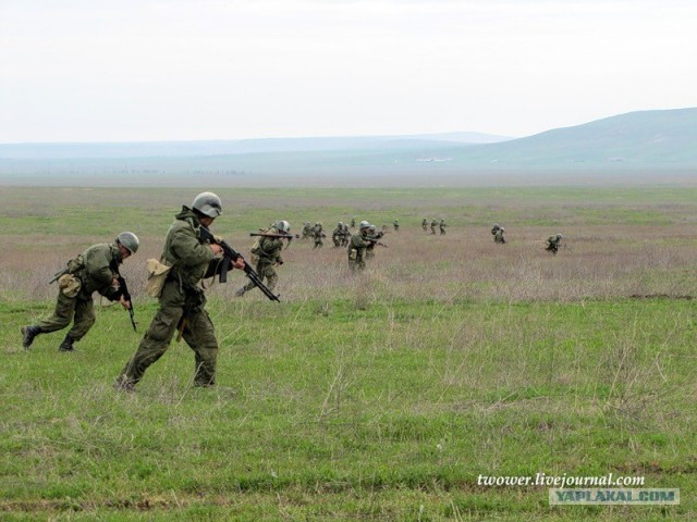 810-я отдельная бригада морской пехоты