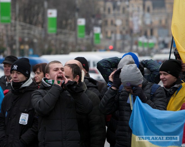 Это они выскакали десятки тысяч трупов